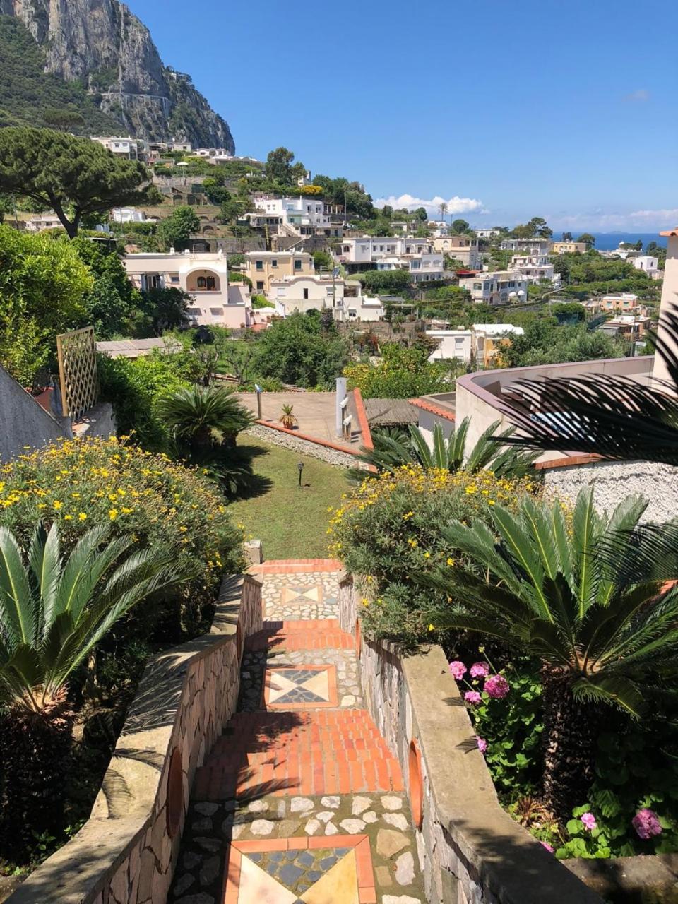 Villa Amalu Capri Piscina E Giardino Exteriör bild